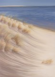 dune ile de ré